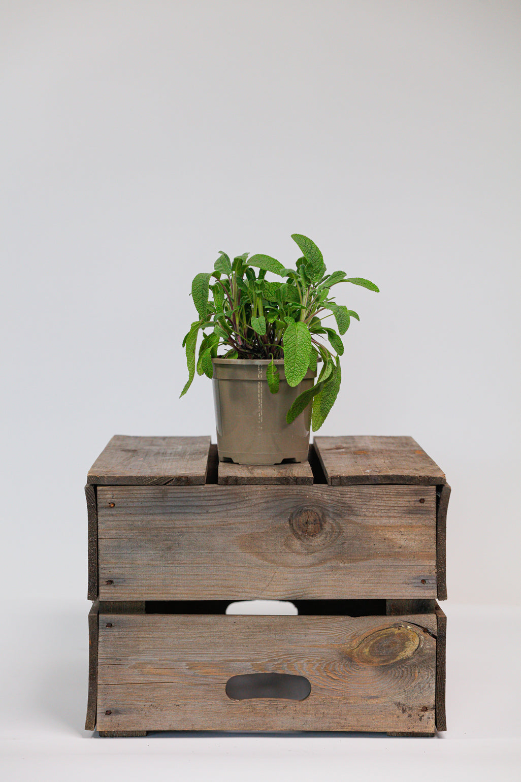 products/SotoProductShootLowQ-1734.jpg